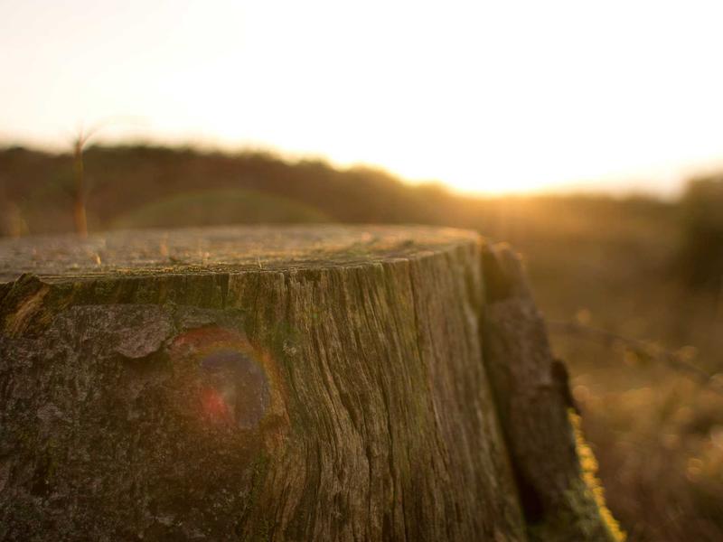 타이 프렌즈 대구